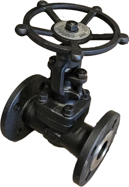 GLOBE VALVE